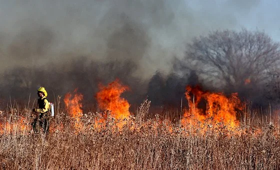 МЧС предупреждает омичей о высоком риске возникновения пожаров