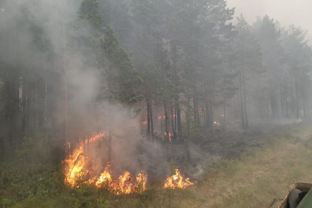 В Омской области локализовали крупный лесной пожар
