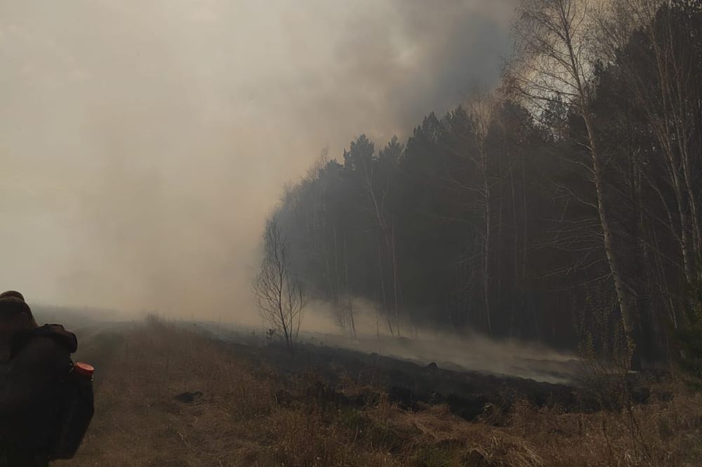 В минувшие выходные в Омской области потушили 30 лесных пожаров