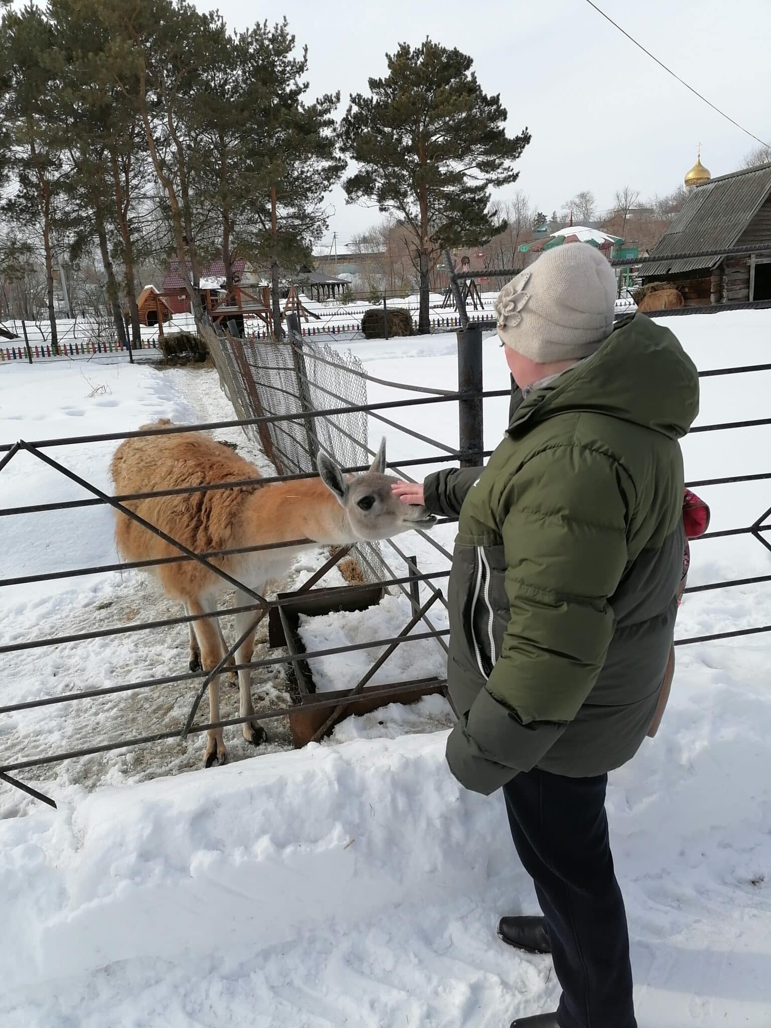 Прогулка по Большереченскому зоопарку. Фотоподборка выходного дня