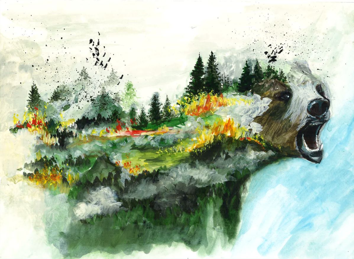 Рисунки юных омичей, победившие в конкурсе "Береги лес от огня" напечатают на баннерах и разместят в лесах