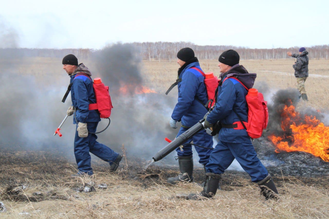 Омские лесхозы приняли участие в совместных учениях с новосибирскими коллегами