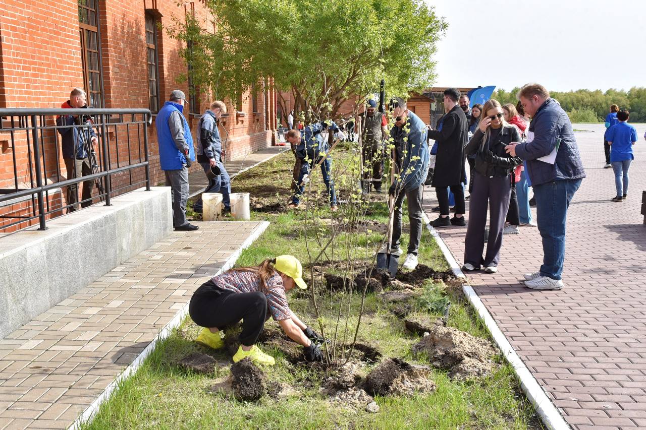 На территории Омской крепости высадили 100 деревьев и кустарников