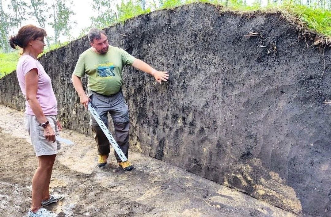 В Горьковском районе Омской области в июле стартуют археологические раскопки