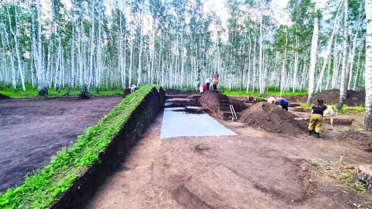 В Горьковском районе Омской области в июле стартуют археологические раскопки