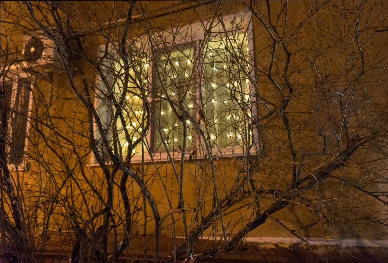 Уютные окна января: фоторепортаж из обычных омских дворов