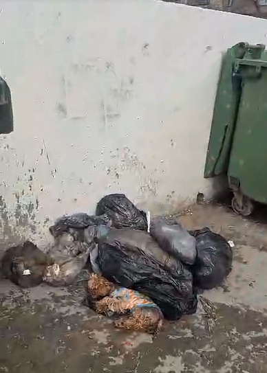 Омичка нашла на помойке мешки с телами домашних животных