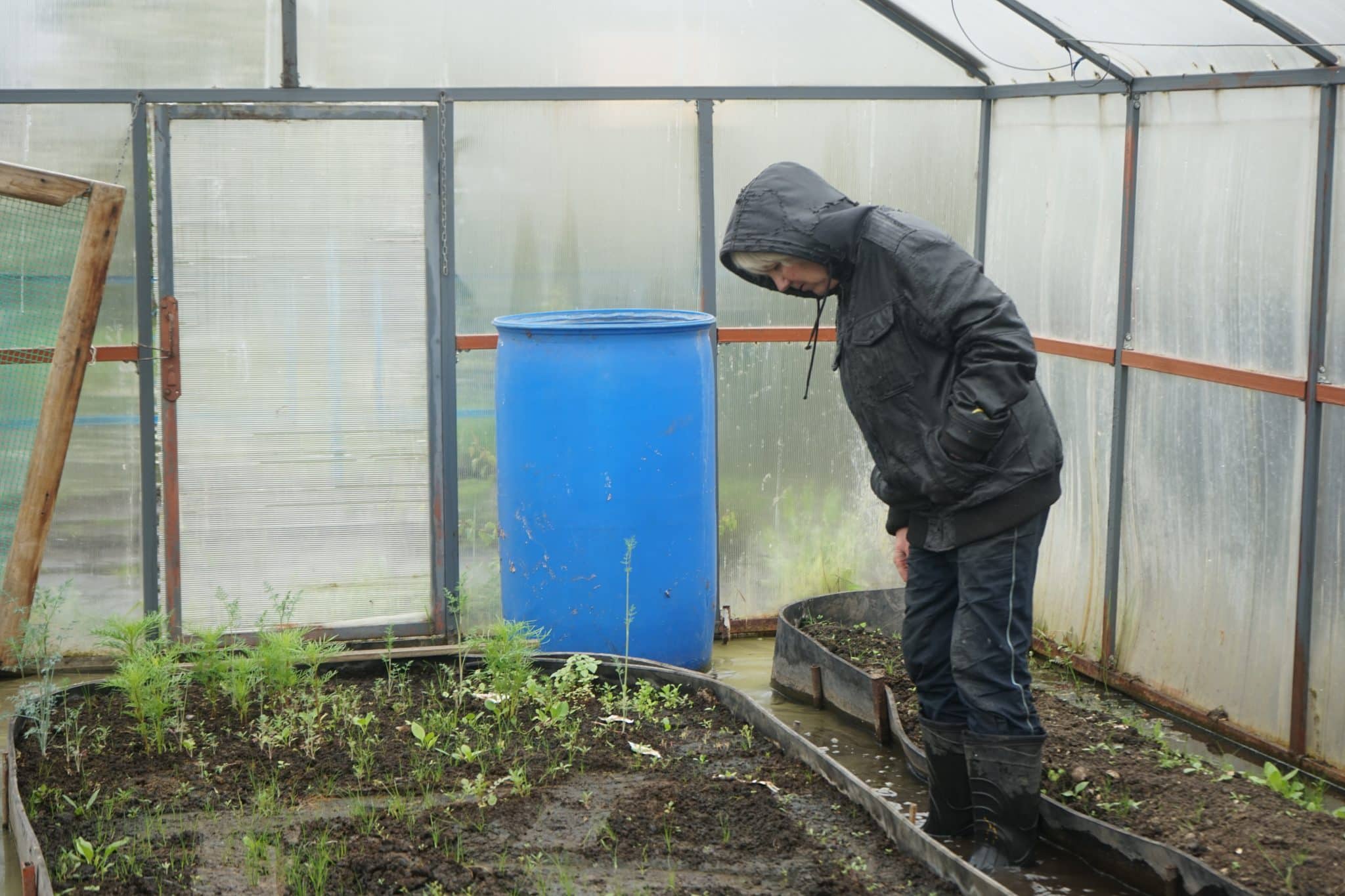 Не дачи, а бобровые хатки: как вода стала выселять целые семьи на окраине Омска