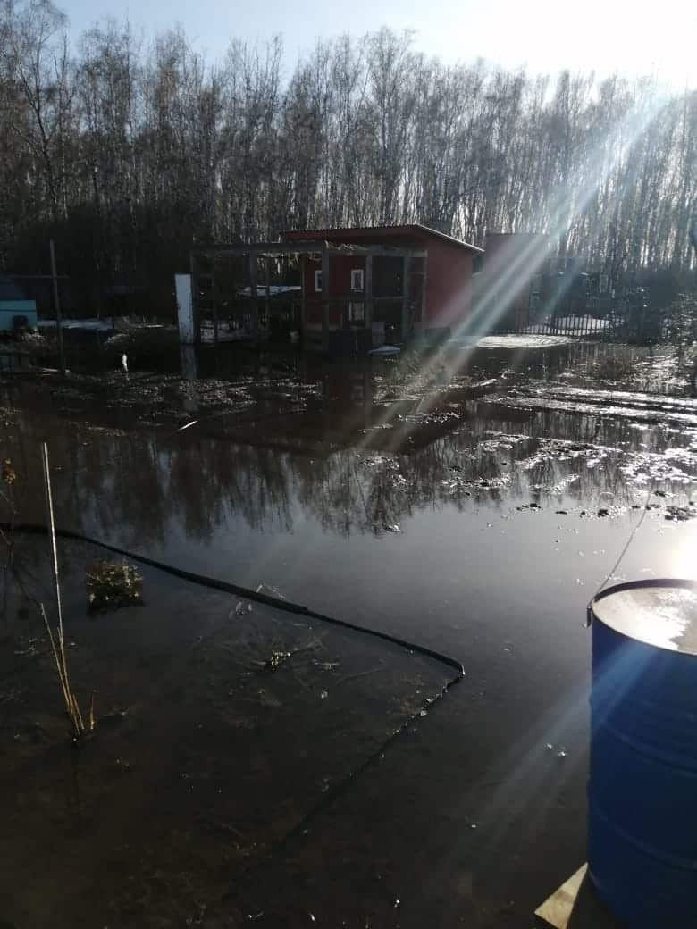 Грунтовые воды затопилu дачи в Осташково