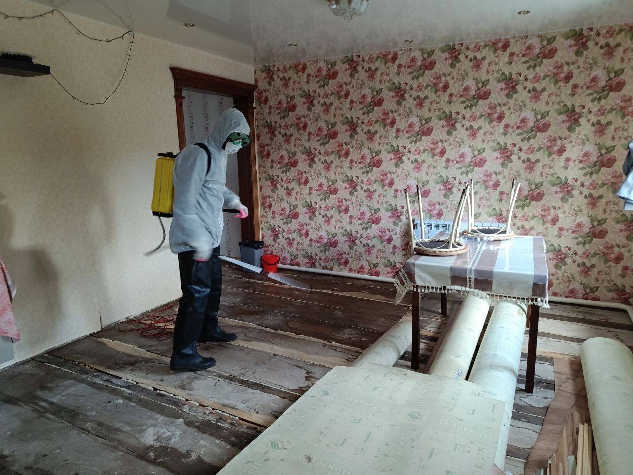 В Омской области начали сушить и дезинфицировать затопленные дома