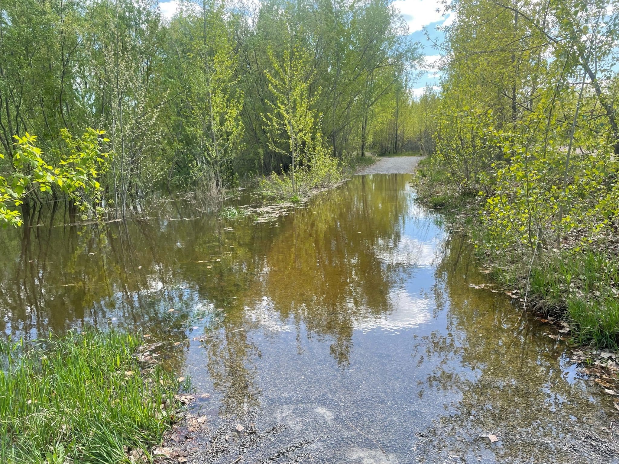 В Омске начало топить "Зелёный остров" - на фото много воды