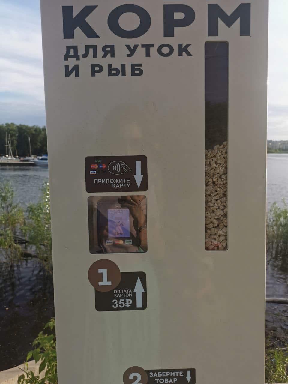 В Омске в парке появились автоматы с кормом для уток и рыб