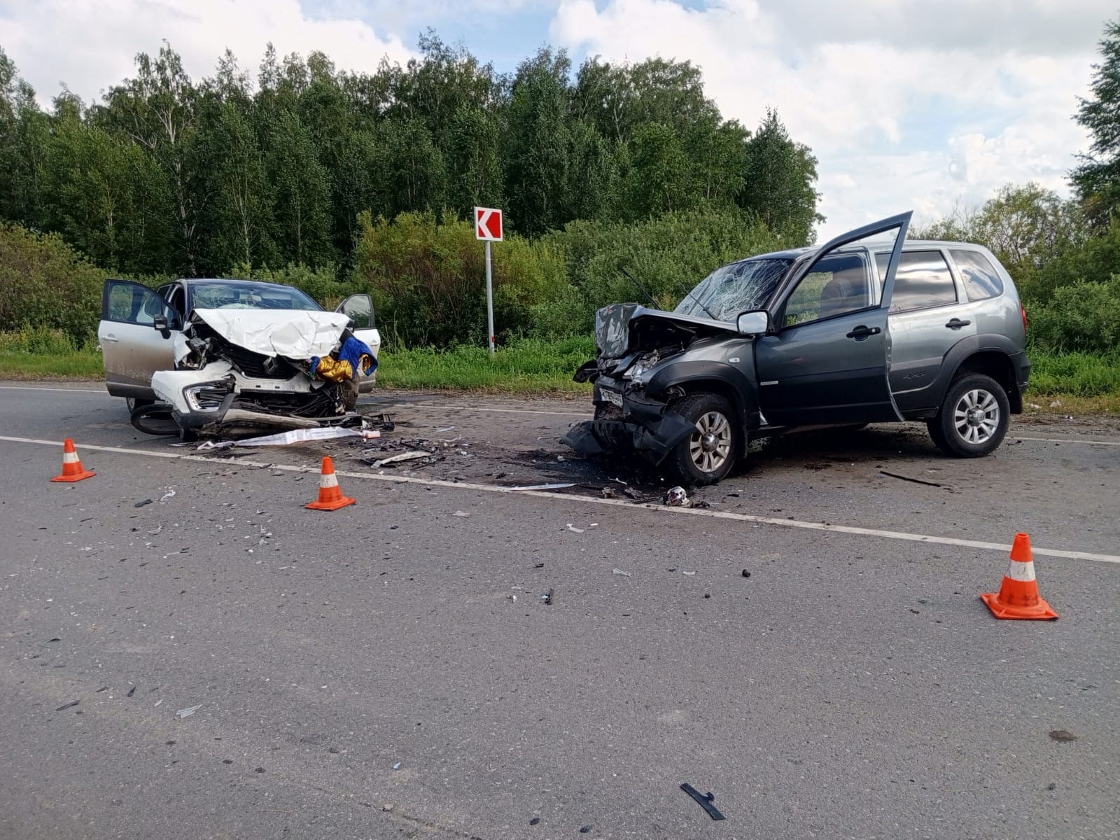 Пять человек пострадали в лобовом ДТП в Омской области