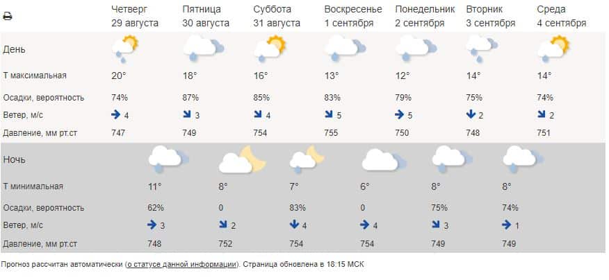 Для первого снега рано, готовим зонт - прогноз погоды в Омске до конца лета и на 1 Сентября