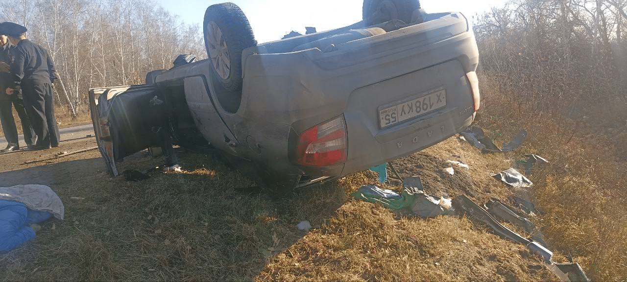 На трассе Омск-Красноярка столкнулись два автомобиля — погибли три человека