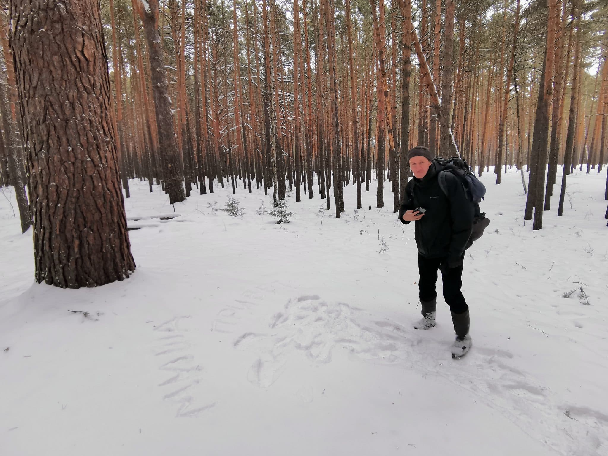 Репортаж с одной из самых высоких сосен Омска