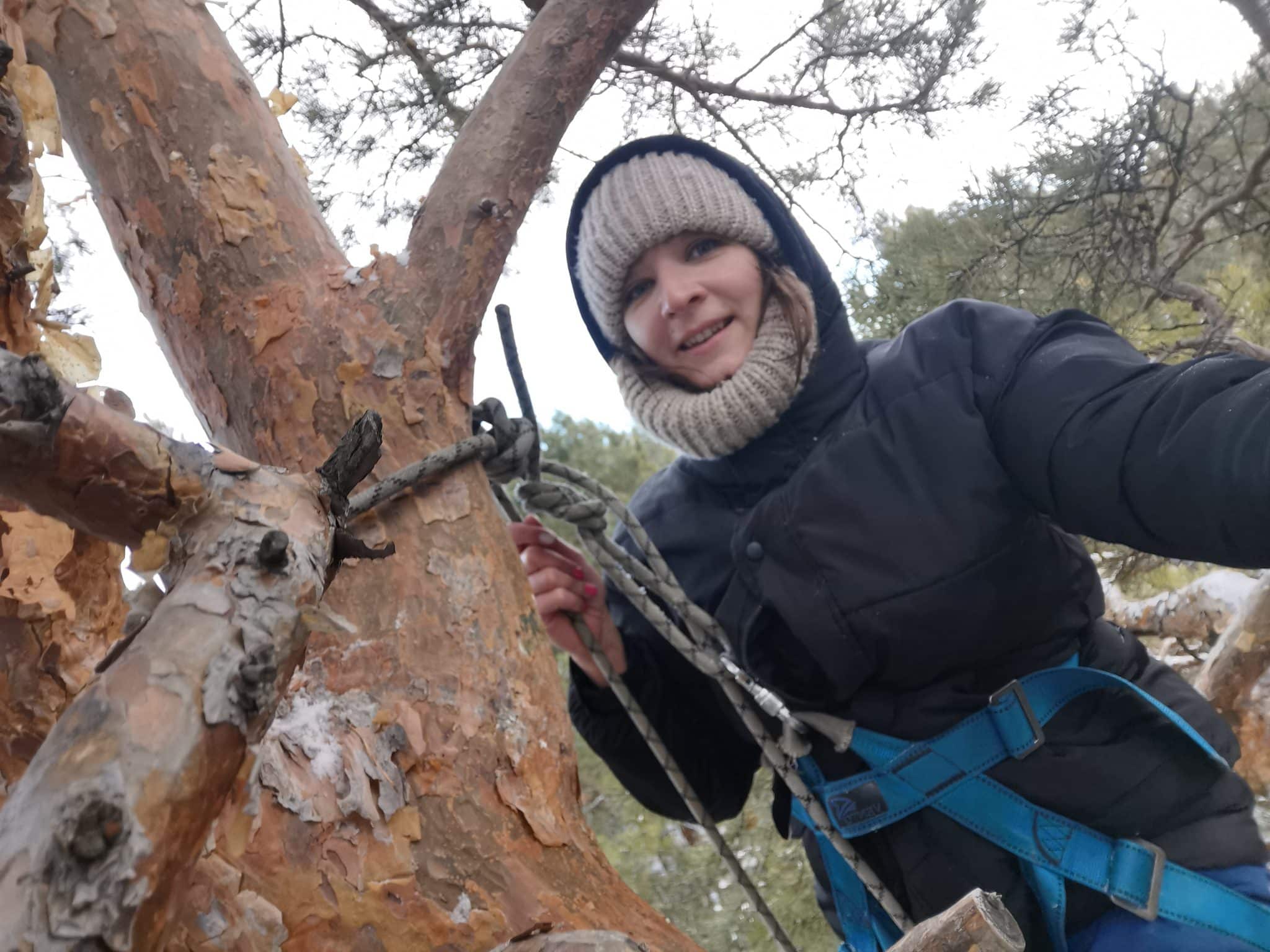 Репортаж с одной из самых высоких сосен Омска