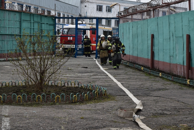 В Омске спасатели "потушили" колонию
