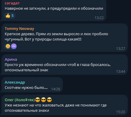 В центре Омска коммунальщики заткнули разбитый люк деревцем
