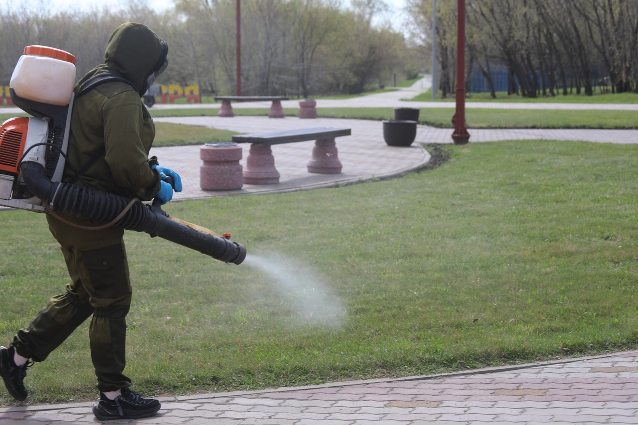 В Омске от клеще обработали "Птичью гавань": прогулки не рекомендуются