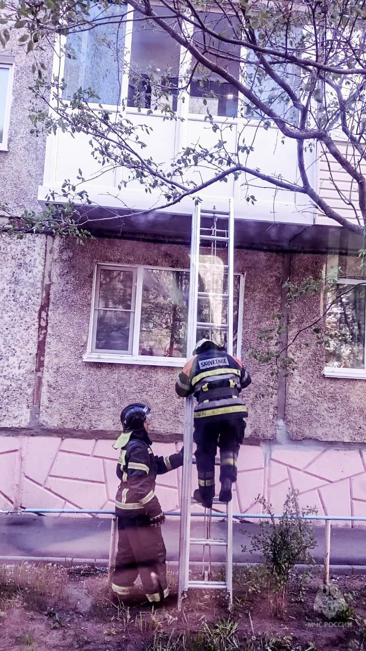 Омские спасатели "разблокировали" двухлетнего ребенка в квартире