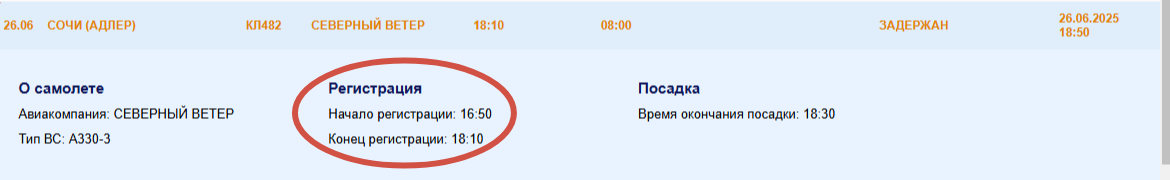 В Омске на 10 часов задержали рейс в Сочи