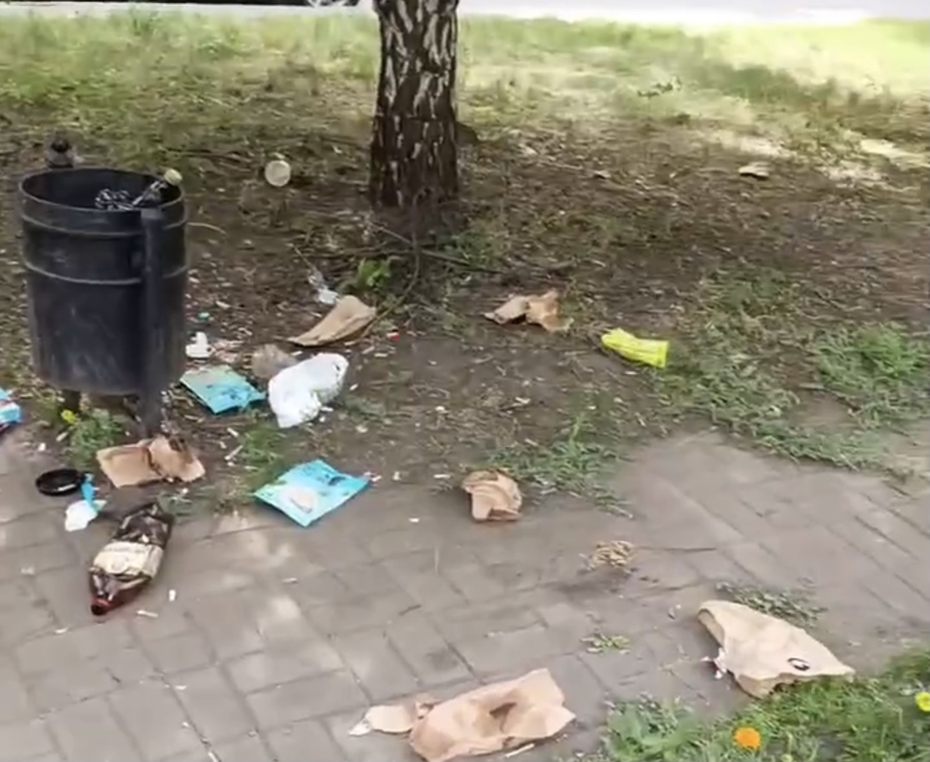 Омичи пожаловались на завалы мусора и отсутствие освещения на проспекте Культуры