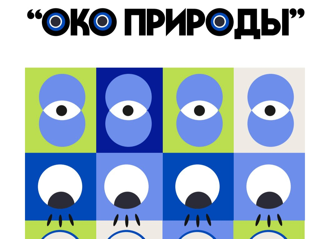 Студентка омского политеха сделала брендбук для «Пяти озер» Муромцевского района