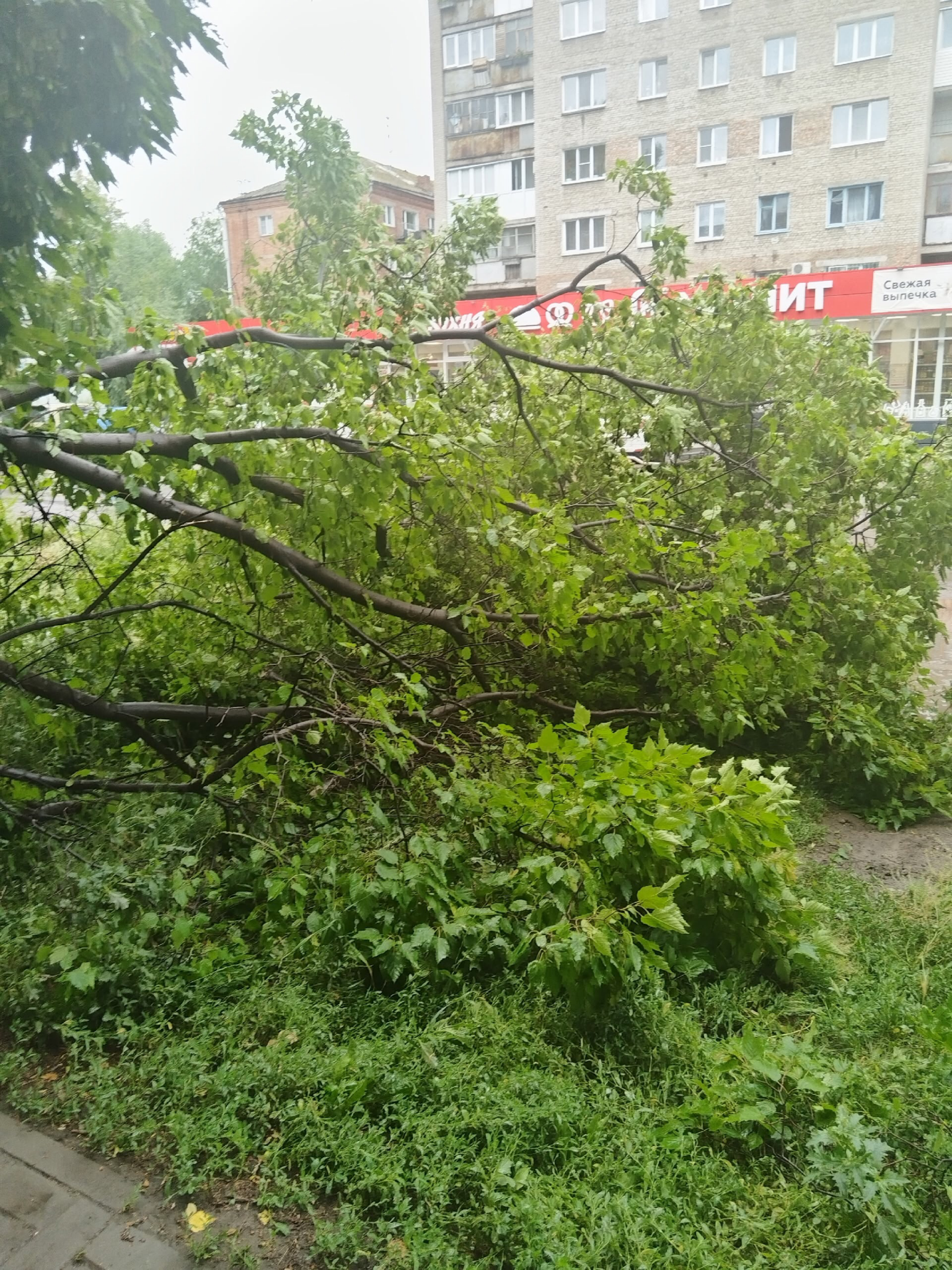 В Омске из-за непогоды в некоторых районах пропало электричество