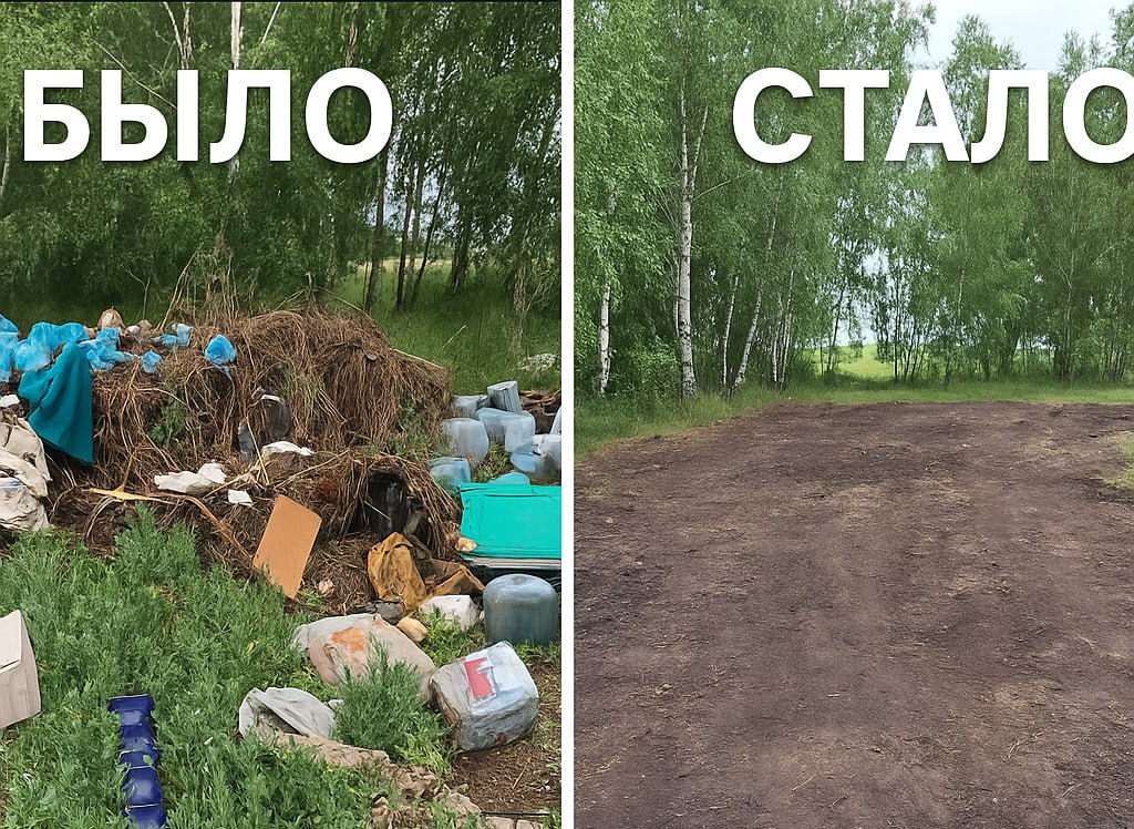 В Омской области ликвидировали незаконную свалку с химикатами