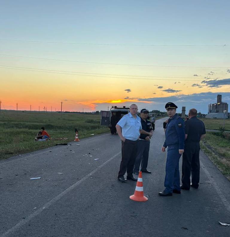 В Омской области из-за лошади в ДТП погибла 14-летняя девочка