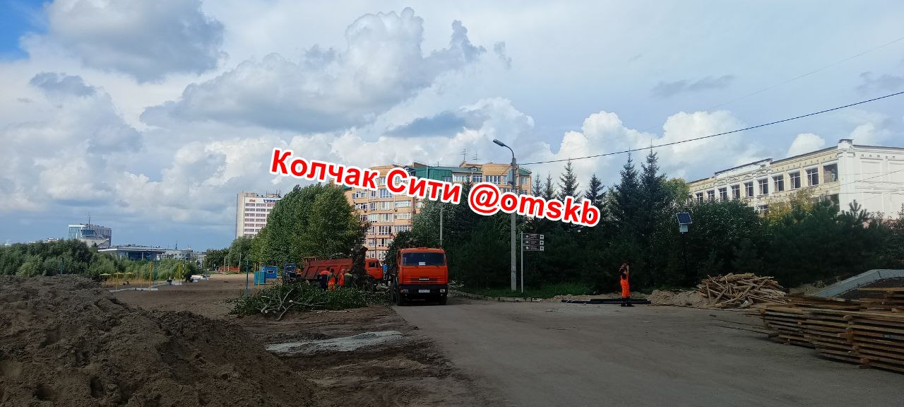 На омском пляже "Центральный-2" взрослые тополя спилили для высадки саженцев