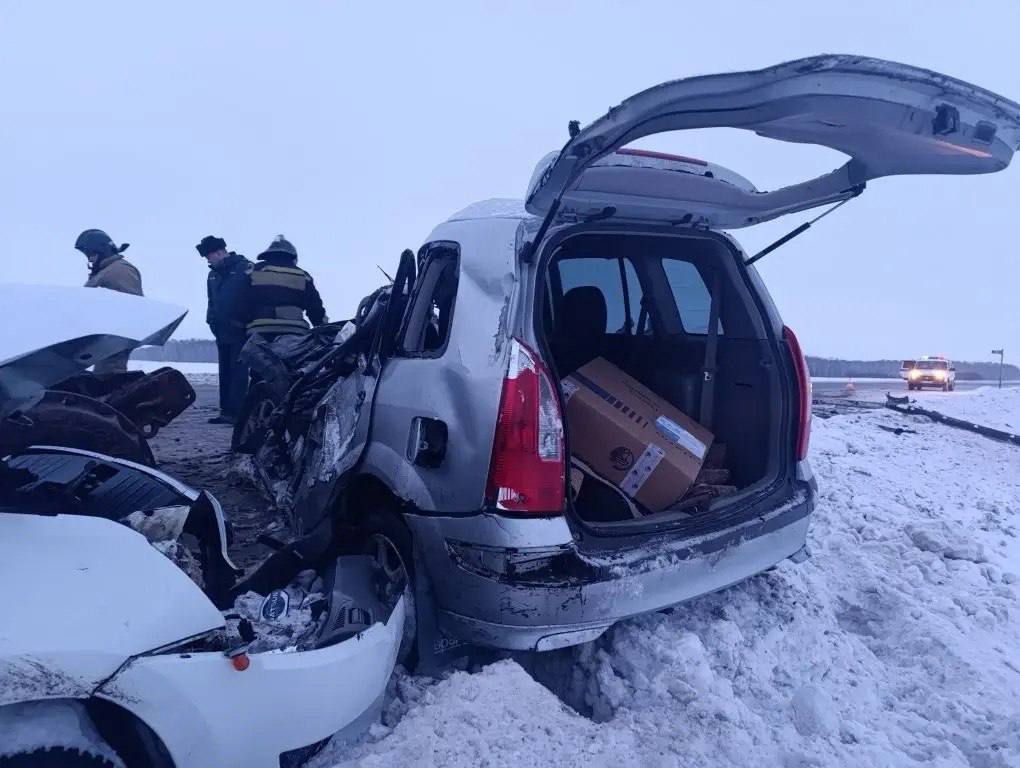 На контроле у прокуратуры: массовое ДТП произошло на трассе в Омской области