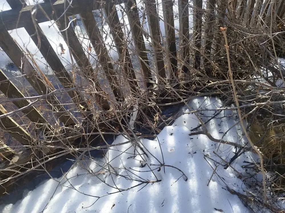 19-летний омич жестоко убил своего отчима