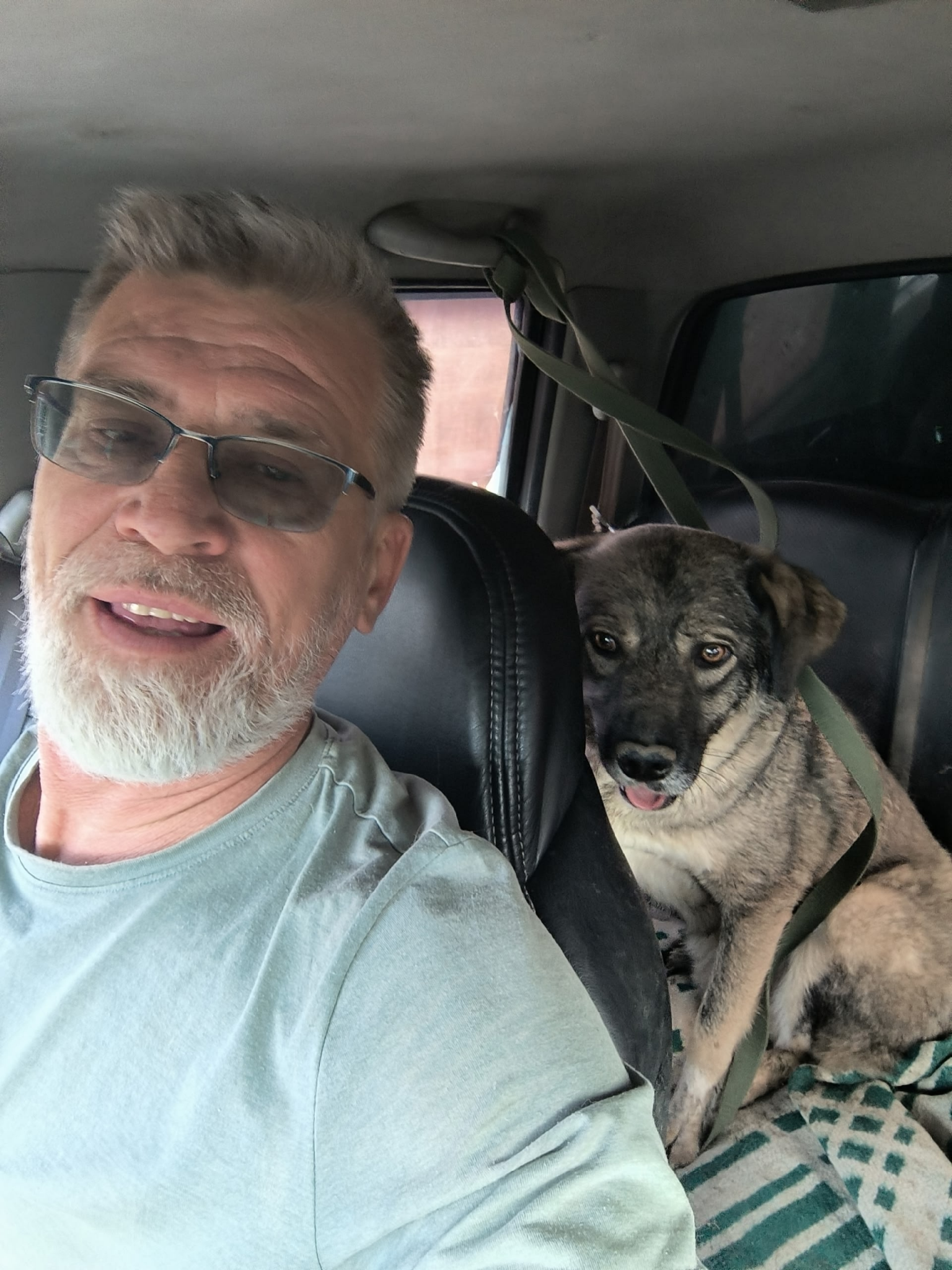 Питомцы омской зоозащитницы Валерии Беловой обрели временный дом